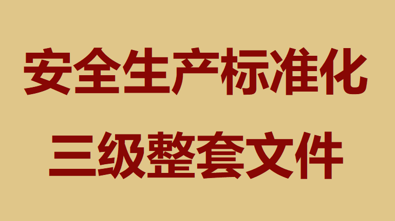 【文件】安全生产标准化三级整套文件（301页）