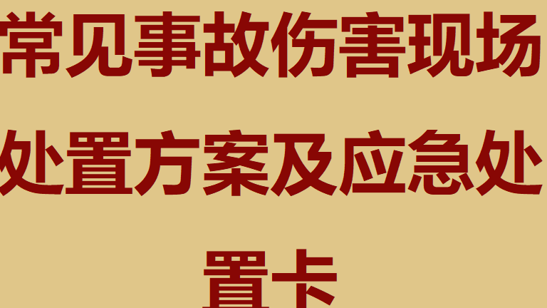 【处置卡】常见事故伤害现场处置方案暨应急处置卡（38页）