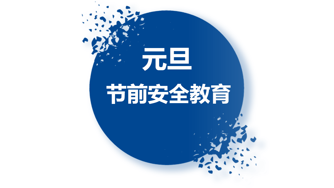 【35】2026年元旦节前安全教育（53页）