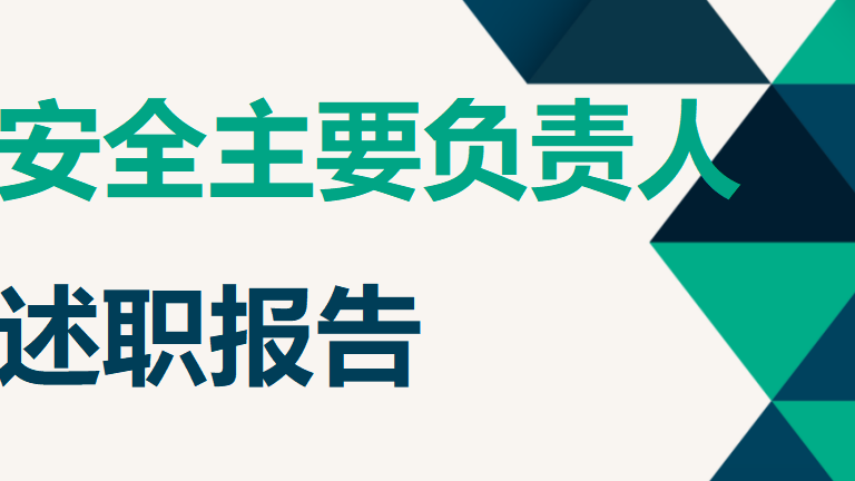 【19】2025公司负责人安全工作述职报告（12页）