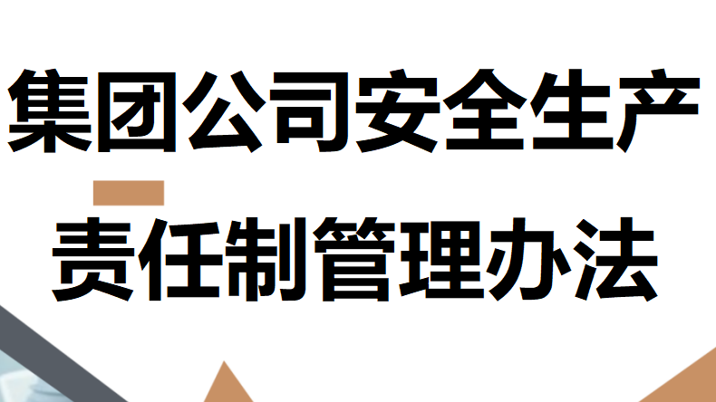 【23】集团公司安全生产责任制管理办法（43页）