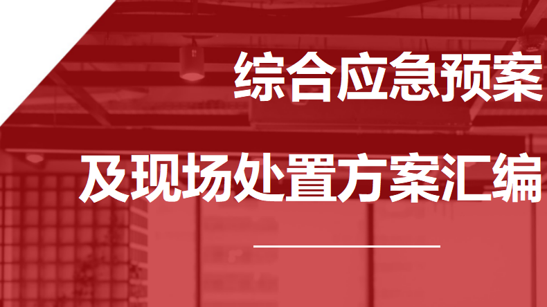 【12】43-综合应急预案及现场处置方案汇编