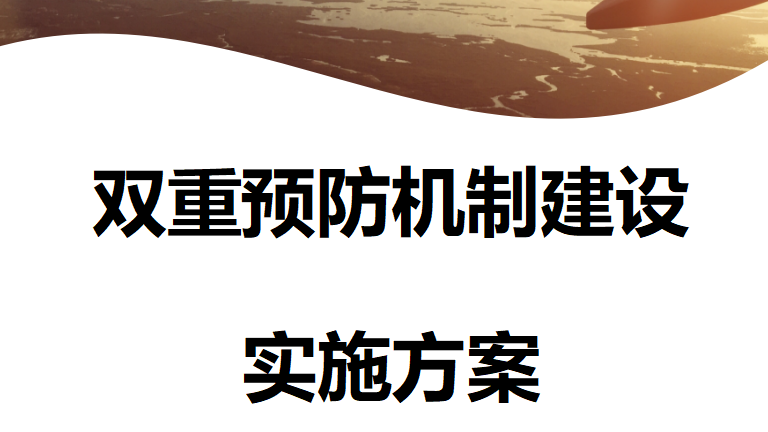 【12】79-企业双控机制实施方案