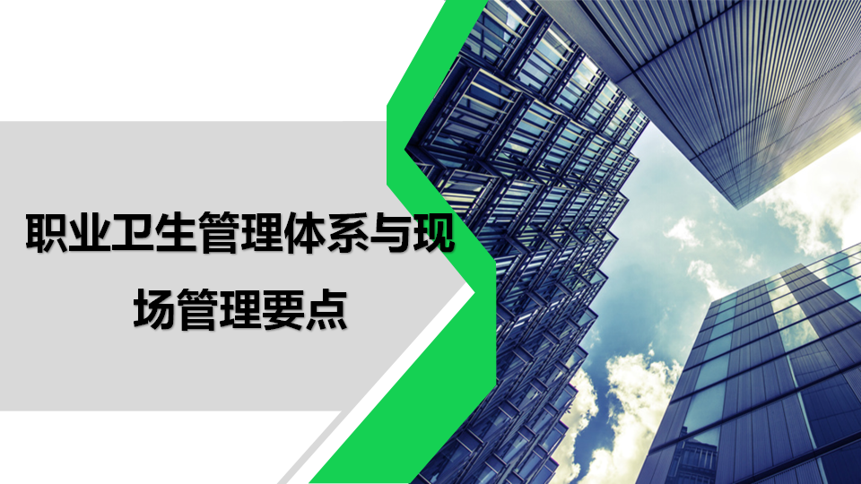 职业卫生管理体系与现场管理要点（128页）