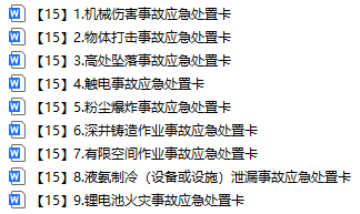 【15】事故应急处置卡汇编